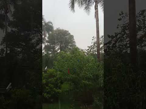 🌧️🌧️🌧️ Orizona Goiás/terça feira 16 de dezembro de 2025