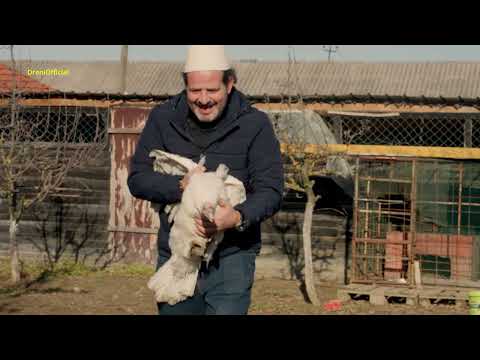 Gezuar 2025 - A vllaun a baxhanakun?