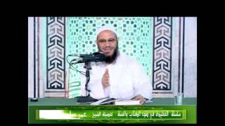 صورة سلسلة العقيدة فى ضوء الكتاب والسنة لفضيلة الشيخ / عمر سليمان الأشقر