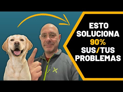 Easy ROUTINE to TIRED OUT your DOG (Fast and Effective)