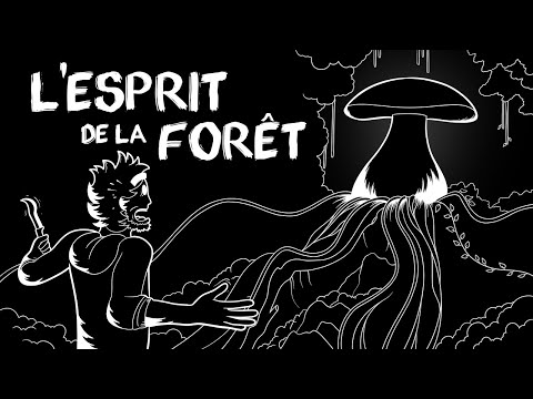 L'esprit de la Forêt : Les Champignons