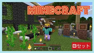 こっそりマインクラフト　[Bセット：トントコ　あとからウホホ　　］