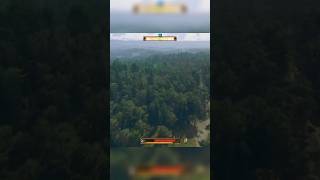 When Free Bird Starts Playing