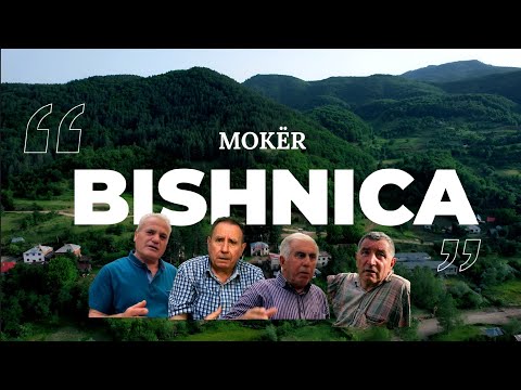 Bishnica, fshati me pyje dhe bukuri që të lënë pa frymë | #story nga Artin Halili #albania #drone