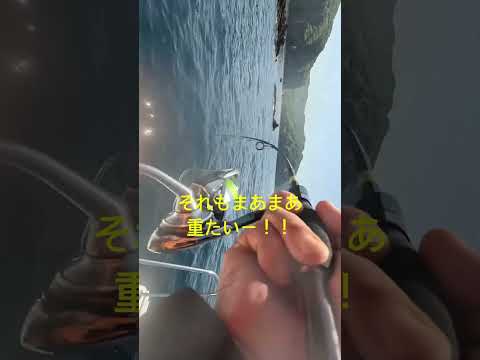 #fishing #釣り #北海道 #ヒラメ