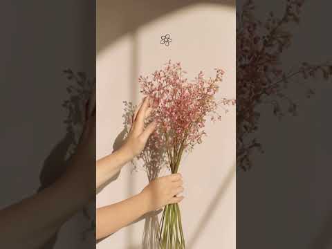 Salma Flowers – Where Every Flower Tells a Story | Luxury Bouquets & Delivery