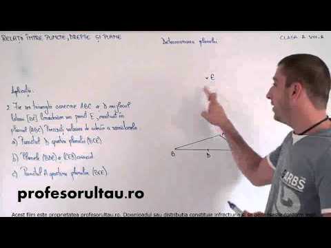 probleme rezolvate plane - profesorultau.ro