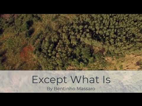 Accept What Is | BENTINHO MASSARO