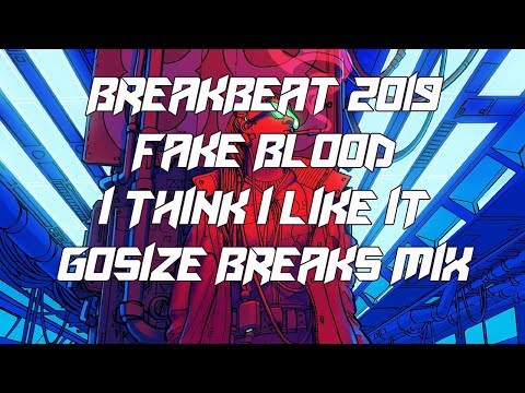 BREAKBEAT 2019/FAKE BLOOD - I THINK I LIKE IT (GOSIZE BREAKS MIX) [WE ARE FRIENDS SOUNDTRACK] LYRICS