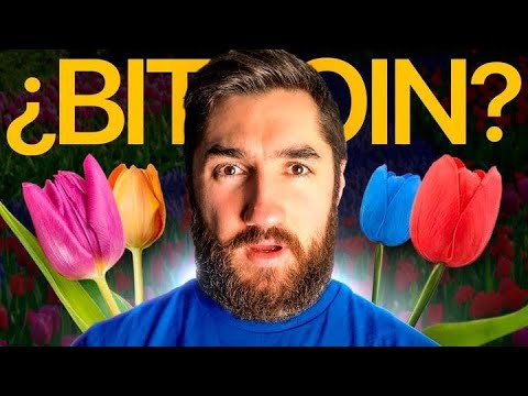 The Tulip Crisis NEVER HAPPENED as they told it 🤯