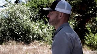 Caleb Hart - Feel The Breeze