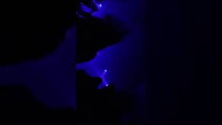 Shaggy 2 Dope F.T.F.O.M.F Tour Intro