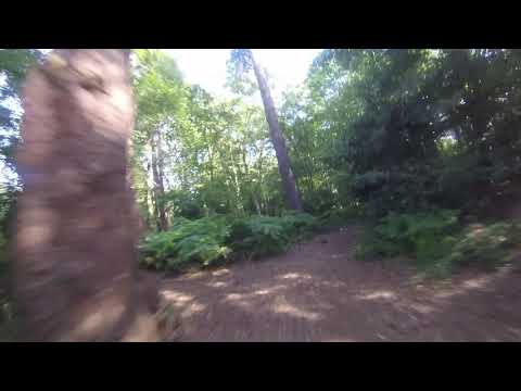 10 mile loop - Summer in England