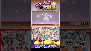 本垢でサマーガールズ確定ガチャ11連回してみた結果 #にゃんこ大戦争