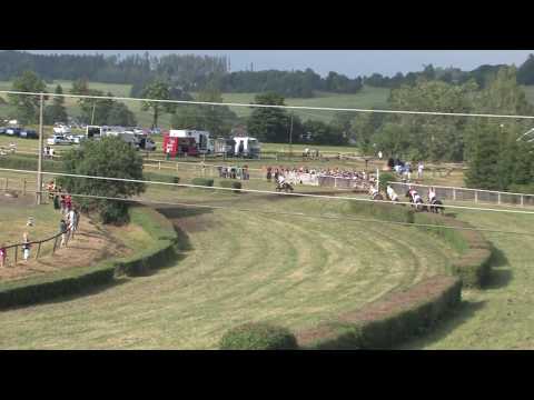 2017 Světlá Hora - 7.dostih - Cena Města Krnova