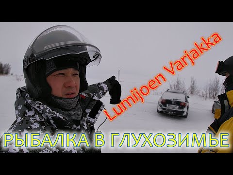 Lumijoen Varjakka. Рыбалка в глухозимье. День 4. Наконец-то увидел живую рыбу.