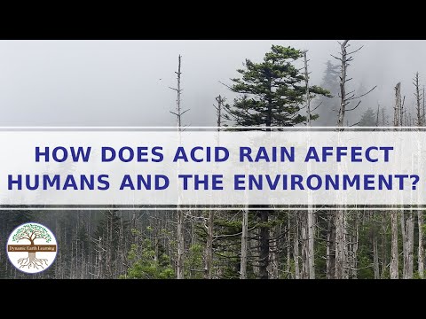 How does Acid Rain affect Humans and the Environment
