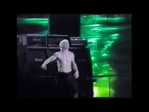 Red Hot Chili Peppers Reading Festival 1999 (a:PRO)