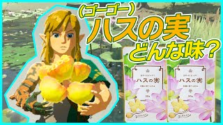 【ゼルダの伝説】ゴーゴーハスの実ってどんな味なの??【ブレワイ/ティアキン】