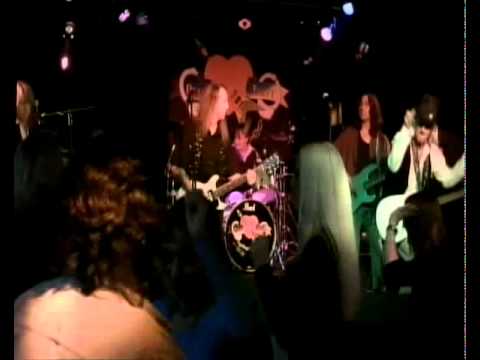 Petty Theft (LA tribute to Tom Petty) - "American Girl"