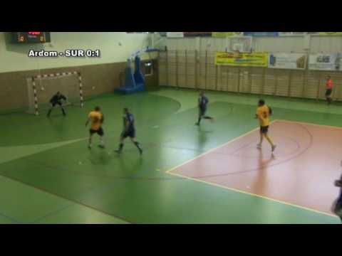 28.02.2010r. Ardom&Mercor - SUR 2:2