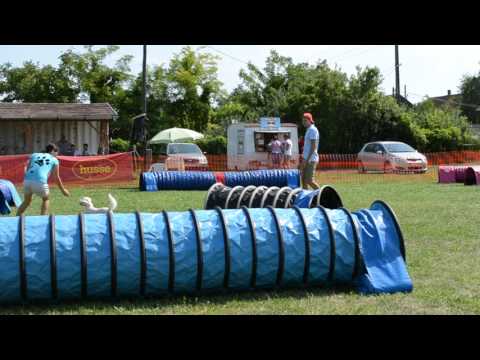 Monori Móka 2017.08.05. Zoé 2.