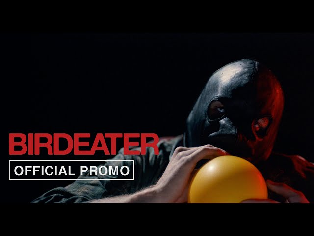 Official Promo #2