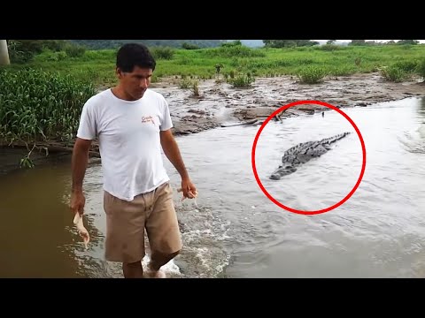 30 Scariest Crocodile Encounters of the Year