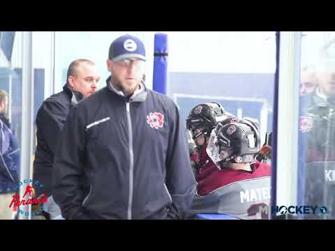 2019 MAHA Pee Wee A state championship - Livingston Lightning vs  Motor City Machine