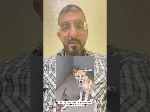 شوف شنو دار هاد الكلب 👏 #viral #instagram