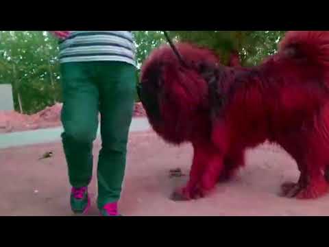 [FREE] Zillakami x Breakcore Trap Metal/Breakcore Type Beat "LOATHER"