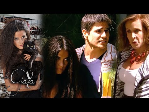 The Cat - Chapter 5: Lorenza wants to separate Pablo and Esmeralda! | Tlnovelas