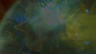 Several Species Of Small Furry Animals Gathered Together in a Cave and Grooving with a Pict.