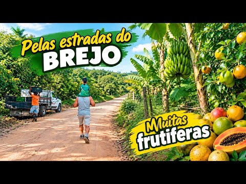 Aqui em alagoa nova pb as estradas é entre as fruteiras
