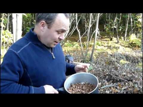 download lagu mp3 mp4 Eating Acorns, download lagu Eating Acorns gratis, unduh video klip Eating Acorns
