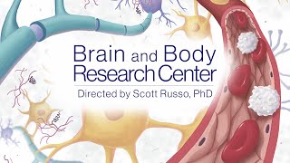 Newswise:Video Embedded mount-sinai-launches-the-brain-and-body-research-center-among-the-first-in-the-u-s-to-focus-solely-on-how-the-brain-and-body-interact