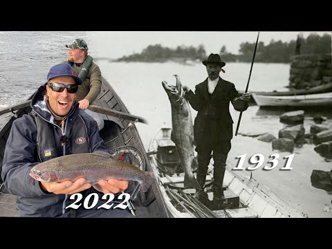 Oulujoen Lohikuninkaat