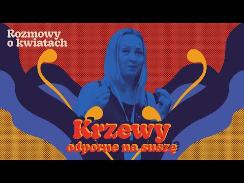 Krzewy odporne na susze - rozmowa z Bronisławem Szmitem