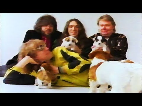 【PV】NRBQ - If I Don't Have You (1990)