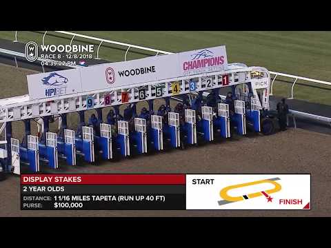 Awesome Again's Sir Winston Wins Display Stakes