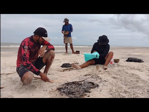 AVENTURA NA PRAIA. OVA DE PESCADA FRITA E TAINHA ASSADA.