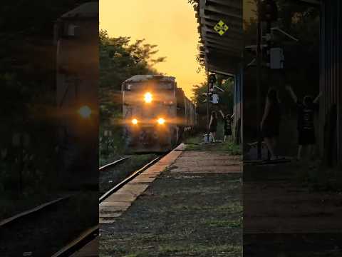 Trem na antiga estação de Urânia (SP)