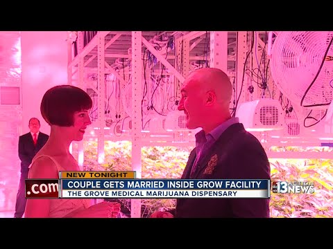 'Weed wedding' held on the first day of legalized marijuana in Nevada