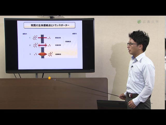 image-くすりの生体内運命とその応用展開