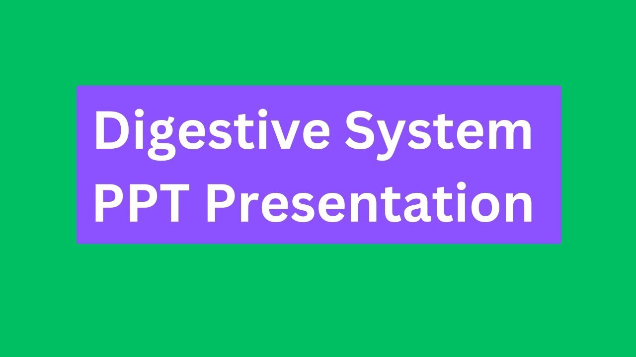 Digestive System PPT Presentation Seminar Download: Function, Organs & Anatomy