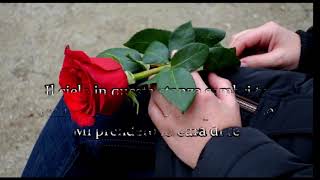 Che vuoi che sia**Irama**testo