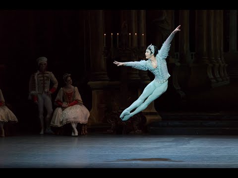 The Sleeping Beauty | Bluebird