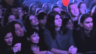 Forest Stream The Autumn Dancers