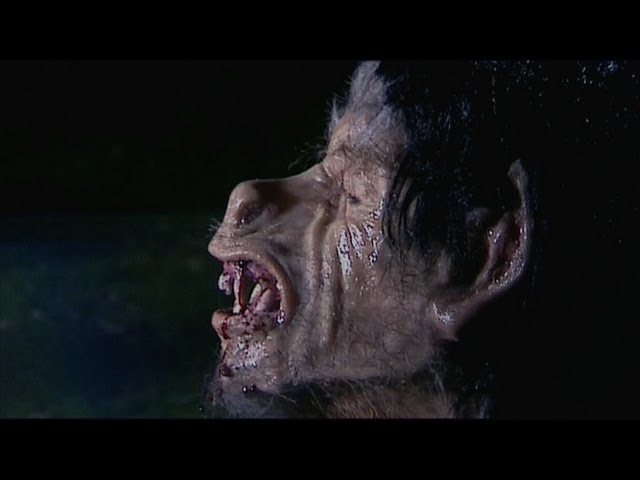 Dense Fear Bloodline teaser.