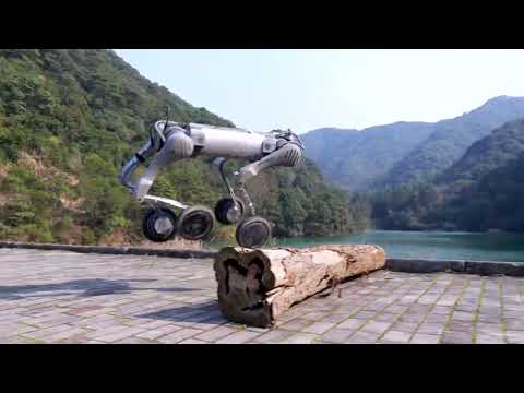 Unitree B2 W | DANIEL PIKL